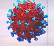 '10월 위드 코로나' 가능할까..전문가 '시기상조' 우려