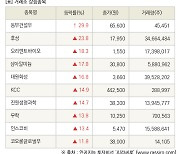 [fnRASSI]장마감, 거래소 상승 종목(동부건설우 29.9% ↑)