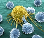 항암치료도 견디는 암세포 특성 찾아냈다