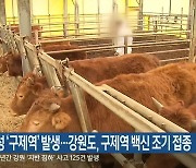 충남 홍성 '구제역 NSP 항체 검출'..강원도, 구제역 백신 조기 접종