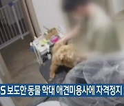 KBS 보도한 동물 학대 애견미용사에 자격정지 2년