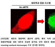 셀리버리 "글로벌 제약사에 TSDT 세포투과능 데이터 제출"