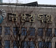 Korean brokerages fined for "inappropriate" market making, likely to challenge FSS