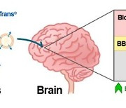 엠디뮨, 佛 기업과 중추신경계 약물전달시스템 연구개발 협력