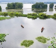 [PRNewswire] Xinhua Silk Road: Wetlands conservation efforts help SW. China's