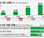 인도펀드 수익률 고공행진..'차이나 리스크'에 인도가 뜨네 [해외주식 인싸이트]