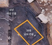 신라 월성서 또 인신공양 흔적..4세기 '제물 인골' 추가 발견