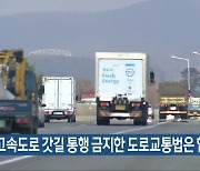 "고속도로 갓길 통행 금지한 도로교통법은 합헌"