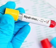 '치사율 70%' 니파 바이러스, 인도 남부서 대확산 우려