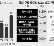 [글로벌What] "유동성이 기업 '야성' 깨워"..올 M&A 사상 최고치 5,400조원도 넘봐