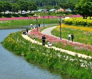 장성군, '장성 다시 보기' 시범사업 추진