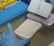 대장암 치료 실마리 찾았다..화학연·UNIST, 새로운 저분자 기반 항암면역치료제 후보물질 적용기술 개발