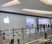 "폴더블이냐 롤러블이냐"..애플, 차세대 폼팩터는?