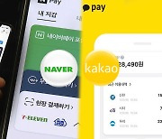 네이버·카카오 금융상품 "광고 아닌 중개..규제대상"