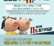 11% 고금리 적금상품?.. 계산해보니 최대 이자 수익 3만원