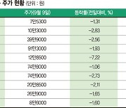 삼성전자 이어 카카오마저 추락.. 악재에 휘청이는 대형주