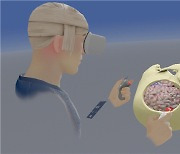 뇌수술, 가상현실에서 실제처럼 한다