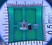 "해킹원천봉쇄"..1.5mm크기 고속 양자난수발생기 칩 개발
