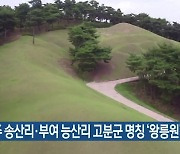 공주 송산리·부여 능산리 고분군 명칭 '왕릉원' 변경