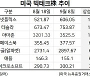 테크株도 美 천하..몸집 3주 새 800조 증가, 무너진 韓·中 빅테크 [株포트라이트]