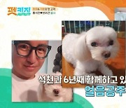 '펫키지' 홍석천 "반려견 엘사, 고소영 닮은 미녀상 굉장히 예뻐" 자랑