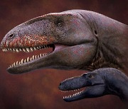 [다이노+] 티라노 이전 아시아 평원 지배한 '상어 이빨 공룡' 발견
