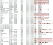 '노래 못하는 외국인은 공연하지 말라?' 영상물등급위원회 이상한 제도