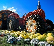 GERMANY PUMPKIN FESTIVAL