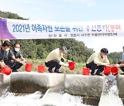 정읍시, 치어 방류로 토종어류 자원 확충 및 보전