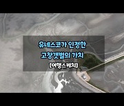 습지와 고인돌, 그리고 갯벌..자연이 준 찬란한 유산[여행_영상]