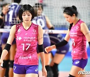 제동 걸린 쌍둥이 자매의 그리스 이적..FIVB 승인 여부가 최대 변수