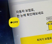 카카오페이, 자동차 보험 비교 서비스 중단.."금융위 지침 반영"