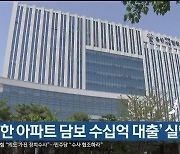'매매한 아파트 담보 수십억 대출' 실형