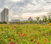 울산 북구, 택지개발지구 빈터 등 6곳에 꽃단지 조성