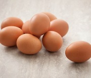 年 268개 먹는 '달걀'.. 왜 식중독에 취약할까