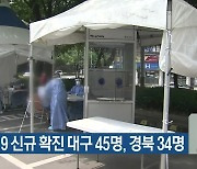 코로나19 신규 확진 대구 45명·경북 34명