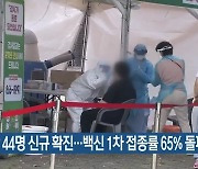 부산 44명 신규 확진..백신1차 접종률 65% 돌파