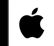 美법원 "애플, 앱스토어 결제 강제는 반경쟁적" 판결