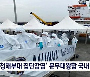 '청해부대 집단감염' 문무대왕함 국내 도착