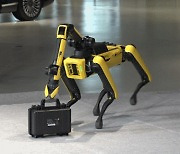 BTS와 칼군무 추던 로봇개, 현대차 스마트팩토리 취직한다