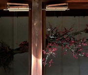 [박진희의 사진으로 보는 문화]가을 덕수궁 현대미술 잔치..'상상의 정원'