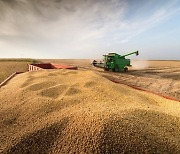가뭄·한파로 브라질 농산물 생산 감소..21세기 이후 첫 감소세 전망