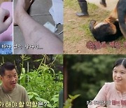 '개훌륭' 셰퍼드 싸움 이유는? 상처투성이 '고민'