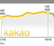 [뉴스잇(IT)쥬]'규제 리스크'에 카카오·네이버 주가 하락, 언제까지?