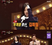 흔들의자=투개월 출신 김예림 "림 킴으로 활동, 은퇴한 것 아냐"