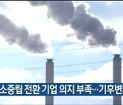 "탄소중립 전환 기업 의지 부족..기후변화 심각"