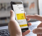 Investment service issue could derail Kakao Pay IPO