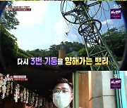 'TV동물농장' 오랑우탄 뽀미, 고공타워 위 아찔한 성장기