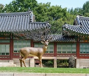 덕수궁에 웬 사슴이..현대미술로 펼친 '상상의 정원'을 거닐다