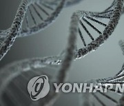 '원샷원킬' 유전자약 국내 허가 잇달아..가격은 '억' 소리